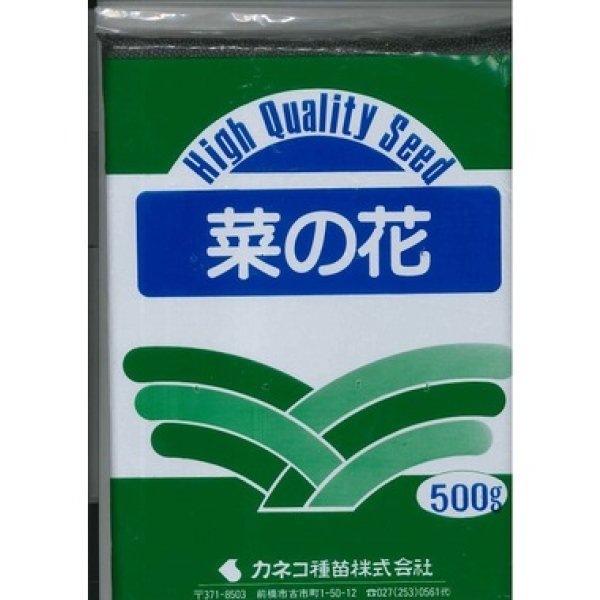 画像1: [景観形成作物] 菜の花 500g カネコ種苗（株） (1)