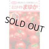 画像: 送料無料　[トマト/ミニトマト]　まゆか　16粒　松永種苗(株)