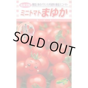 画像: 送料無料　[トマト/ミニトマト]　まゆか　1000粒　松永種苗(株)