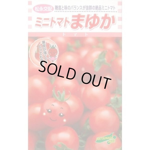 画像1: 送料無料　[トマト/ミニトマト]　まゆか　100粒　松永種苗(株) (1)
