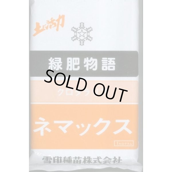 画像1: [緑肥]　クロタラリア　ネマックス　1kg　雪印種苗(株) (1)