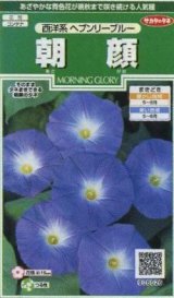 画像: 送料無料　花の種　朝顔　西洋系　ヘブンリーブルー　約14粒　(株)サカタのタネ　実咲250（026201）