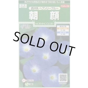 画像: 送料無料　花の種　朝顔　西洋系　ヘブンリーブルー　約14粒　(株)サカタのタネ　実咲250（026201）