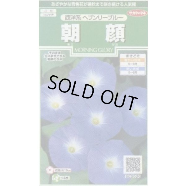 画像1: 花の種 朝顔 西洋系 ヘブンリーブルー 約14粒 (株)サカタのタネ 実咲250(026201) (1)