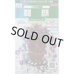 画像: 送料無料　花の種　朝顔　つばめ朝顔　約16粒　(株)サカタのタネ　実咲250（026199）