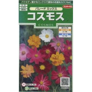 画像: 花の種　コスモス　パレードミックス　小袋　サカタのタネ（株）実咲250