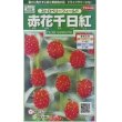 画像1: 花の種　赤花千日紅　ストロベリーフィールド　約20粒　サカタのタネ（株）実咲250 (1)