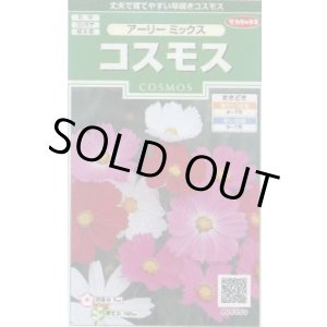 画像: 送料無料　花の種　コスモス　アーリーミックス　約86粒　(株)サカタのタネ　実咲250（026238）