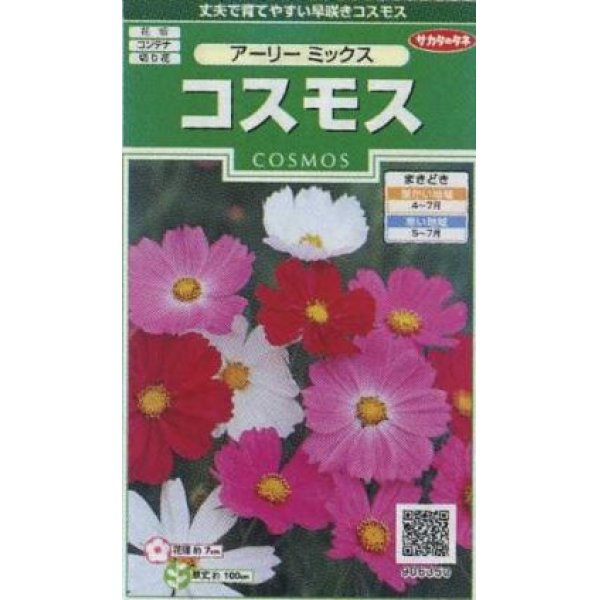画像1: 花の種　コスモス　アーリーミックス　約86粒　サカタのタネ（株）実咲250 (1)