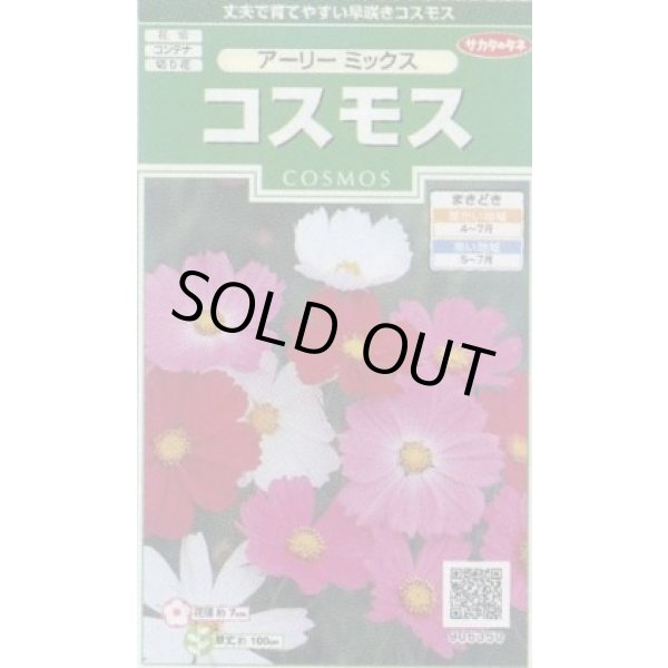 画像1: 送料無料　花の種　コスモス　アーリーミックス　約86粒　(株)サカタのタネ　実咲250（026238） (1)