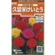 画像1: 送料無料　花の種　けいとう　久留米けいとう　切り花用混合　約145粒　(株)サカタのタネ　実咲200（026324） (1)
