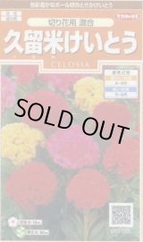 画像: 送料無料　花の種　けいとう　久留米けいとう　切り花用混合　約145粒　(株)サカタのタネ　実咲200（026324）