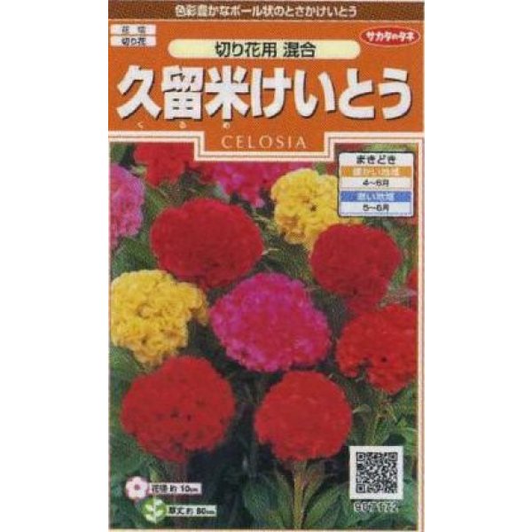 画像1: 送料無料　花の種　けいとう　久留米けいとう　切り花用混合　約145粒　(株)サカタのタネ　実咲200（026324） (1)