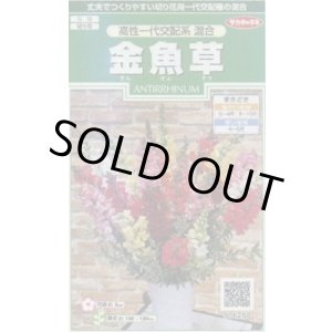 画像: 送料無料　花の種　金魚草　高性一代交配系混合　約86粒　(株)サカタのタネ　実咲250（026222）