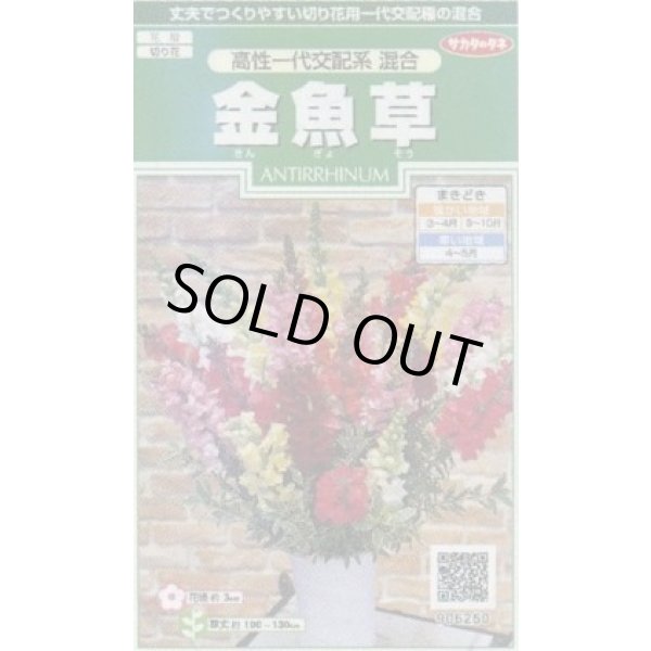 画像1: 送料無料　花の種　金魚草　高性一代交配系混合　約86粒　(株)サカタのタネ　実咲250（026222） (1)