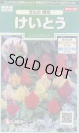 画像: 送料無料　花の種　けいとう　きもの混合　約143粒　(株)サカタのタネ　実咲250（026234）