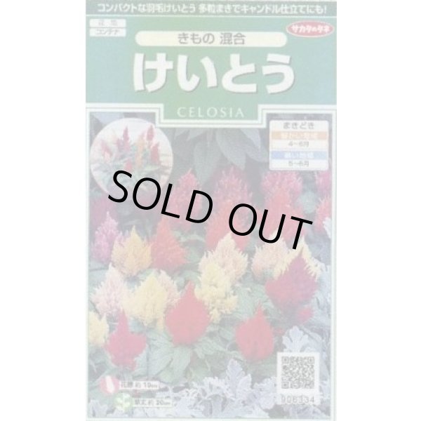 画像1: 送料無料　花の種　けいとう　きもの混合　約143粒　(株)サカタのタネ　実咲250（026234） (1)