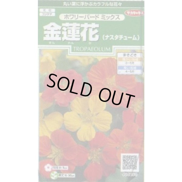 画像1: 送料無料　花の種　金蓮花　ホワリーバード　約15粒　(株)サカタのタネ　実咲250（026228） (1)