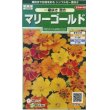 画像1: 花の種　マリーゴールド　一重咲き混合　約50粒　サカタのタネ（株）実咲250 (1)