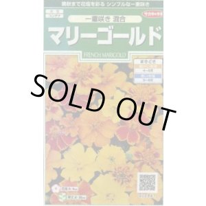 画像: 送料無料　花の種　マリーゴールド　一重咲き混合　約50粒　(株)サカタのタネ　実咲250（026295）