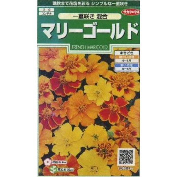 画像1: 花の種　マリーゴールド　一重咲き混合　約50粒　サカタのタネ（株）実咲250 (1)