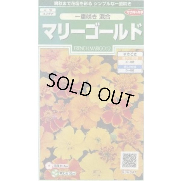 画像1: 送料無料　花の種　マリーゴールド　一重咲き混合　約50粒　(株)サカタのタネ　実咲250（026295） (1)
