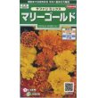 画像1: 花の種　マリーゴールド　サファリミックス　約29粒　サカタのタネ（株）実咲250 (1)