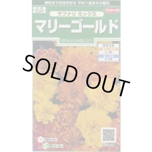 画像: 送料無料　花の種　マリーゴールド　サファリミックス　約29粒　(株)サカタのタネ　実咲250（026294）