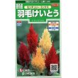 画像1: 花の種　羽毛けいとう　センチュリーミックス　約143粒　サカタのタネ（株）実咲250 (1)