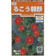 画像1: 花の種　るこう朝顔　約22粒　サカタのタネ（株）実咲200 (1)