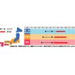 画像2: 花の種　るこう朝顔　約22粒　サカタのタネ（株）実咲200 (2)