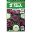 画像1: 花の種 　葉ぼたん　バラエティーミックス　約40粒　サカタのタネ（株）実咲250 (1)