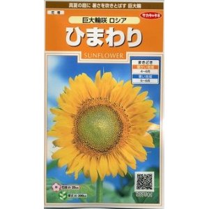 画像: 花の種　ひまわり　巨大輪咲　ロシア　約20粒　サカタのタネ（株）実咲200