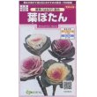 画像1: 花の種 　葉ぼたん　華美（はなび）混合　約27粒　　サカタのタネ（株）実咲350 (1)