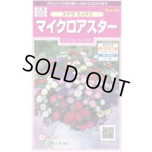 画像: 送料無料　花の種　マイクロアスター　ステラミックス　約75粒　(株)サカタのタネ　　実咲350（026085）