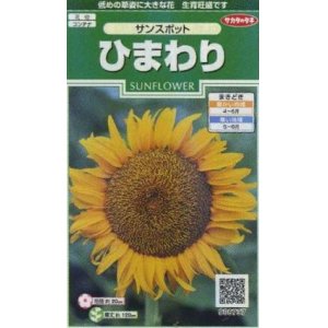 画像: 花の種　ひまわり　サンスポット　約13粒　サカタのタネ（株）実咲250