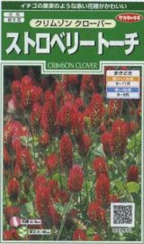 画像: 送料無料　花の種　クリムゾンクローバー　ストロベリートーチ　約190粒　(株)サカタのタネ　実咲250（026253）
