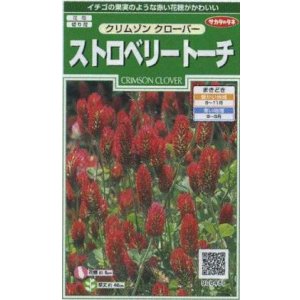 画像: 送料無料　花の種　クリムゾンクローバー　ストロベリートーチ　約190粒　(株)サカタのタネ　実咲250（026253）