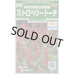 画像: 花の種 　クリムゾンクローバー　ストロベリートーチ　約188粒　サカタのタネ（株）実咲250