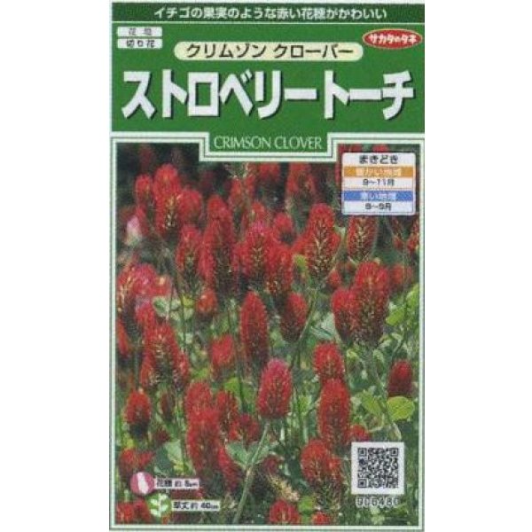 画像1: 送料無料　花の種　クリムゾンクローバー　ストロベリートーチ　約190粒　(株)サカタのタネ　実咲250（026253） (1)