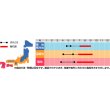 画像2: 花の種　ホウセンカ　カメリア咲き混合　約63粒　サカタのタネ（株）実咲200 (2)