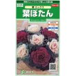 画像1: 花の種 　葉ぼたん　華ミックス　約40粒　サカタのタネ（株）実咲250 (1)