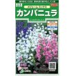 画像1: 花の種　カンパニュラ　メジュームミックス　約310粒　　サカタのタネ（株）実咲250 (1)