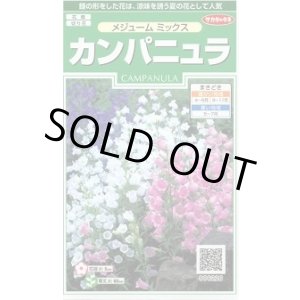 画像: 送料無料　花の種　カンパニュラ　メジュームミックス　約210粒　　(株)サカタのタネ　実咲250（026220）