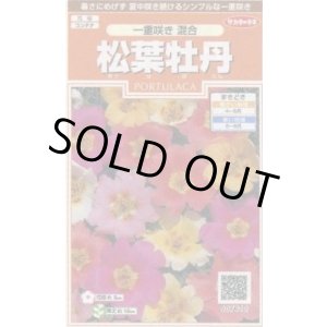 画像: 送料無料　花の種　松葉牡丹　一重咲き混合　約215粒　(株)サカタのタネ　実咲200（026357）