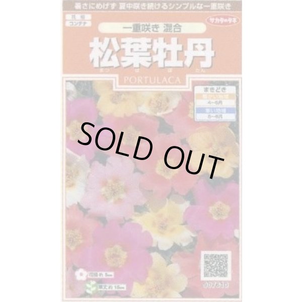 画像1: 送料無料　花の種　松葉牡丹　一重咲き混合　約215粒　(株)サカタのタネ　実咲200（026357） (1)