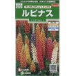 画像1: 花の種　ルピナス　ラッセルミナレットミックス　約20粒　サカタのタネ（株）実咲250 (1)