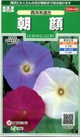 画像: 送料無料　花の種　朝顔　西洋系混合　約14粒　(株)サカタのタネ　実咲250（026200）