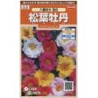 画像1: 花の種　松葉牡丹　八重咲き混合　約215粒　サカタのタネ（株）実咲200 (1)