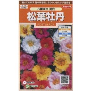 画像: 送料無料　花の種　松葉牡丹　八重咲き混合　約215粒　(株)サカタのタネ　実咲200（026358）